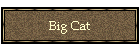 Big Cat